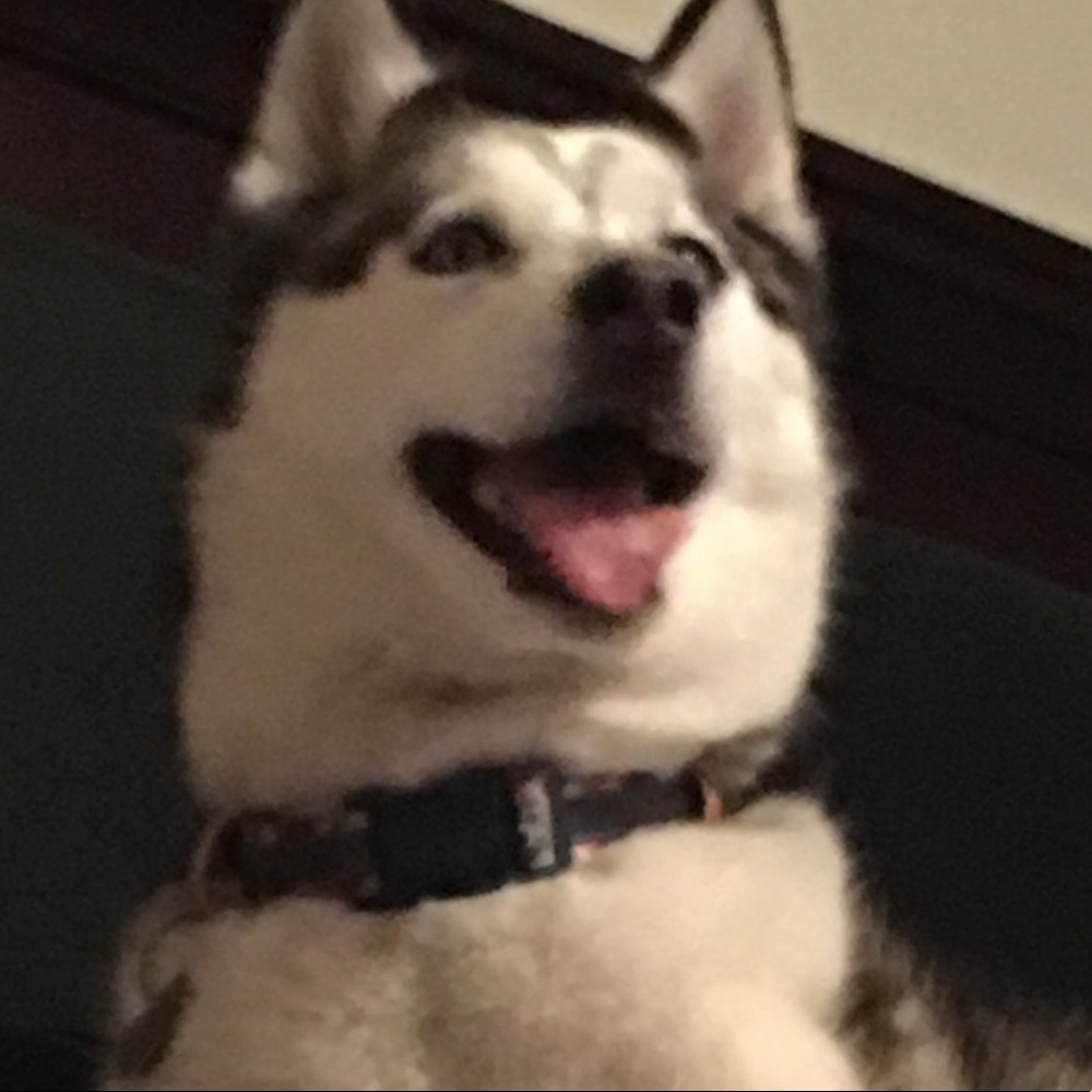 Meet your Posher, Nathaly